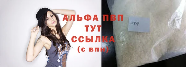 молекула духа Бородино