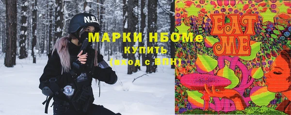 молекула духа Бородино
