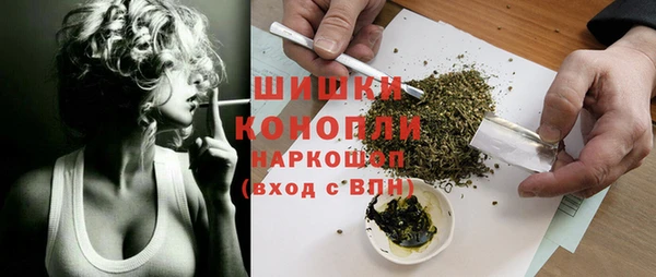 молекула духа Бородино